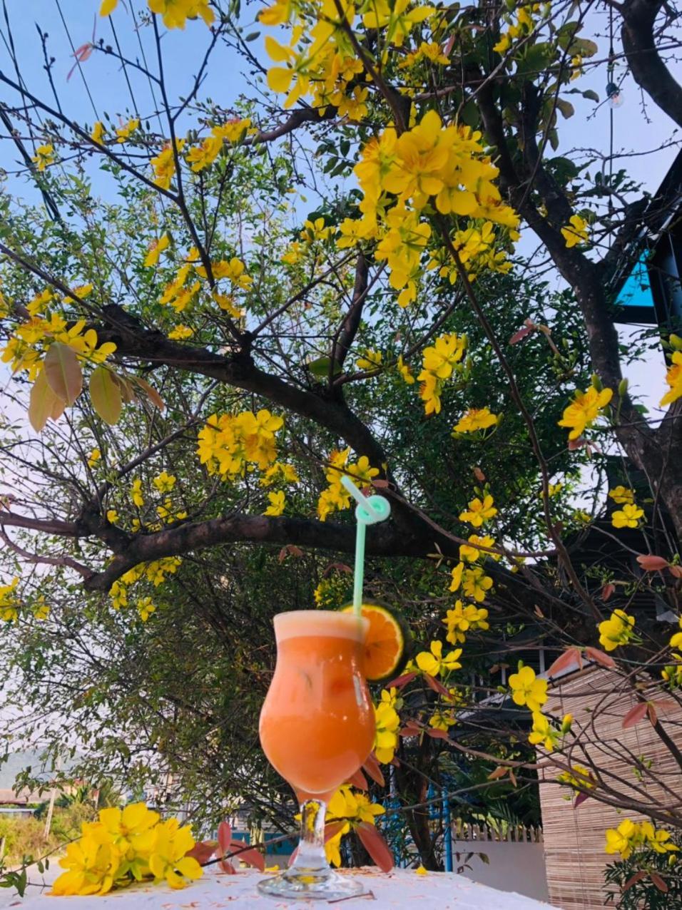 בית הארחה Ninh Hai District 	Sunrise Doc Let מראה חיצוני תמונה